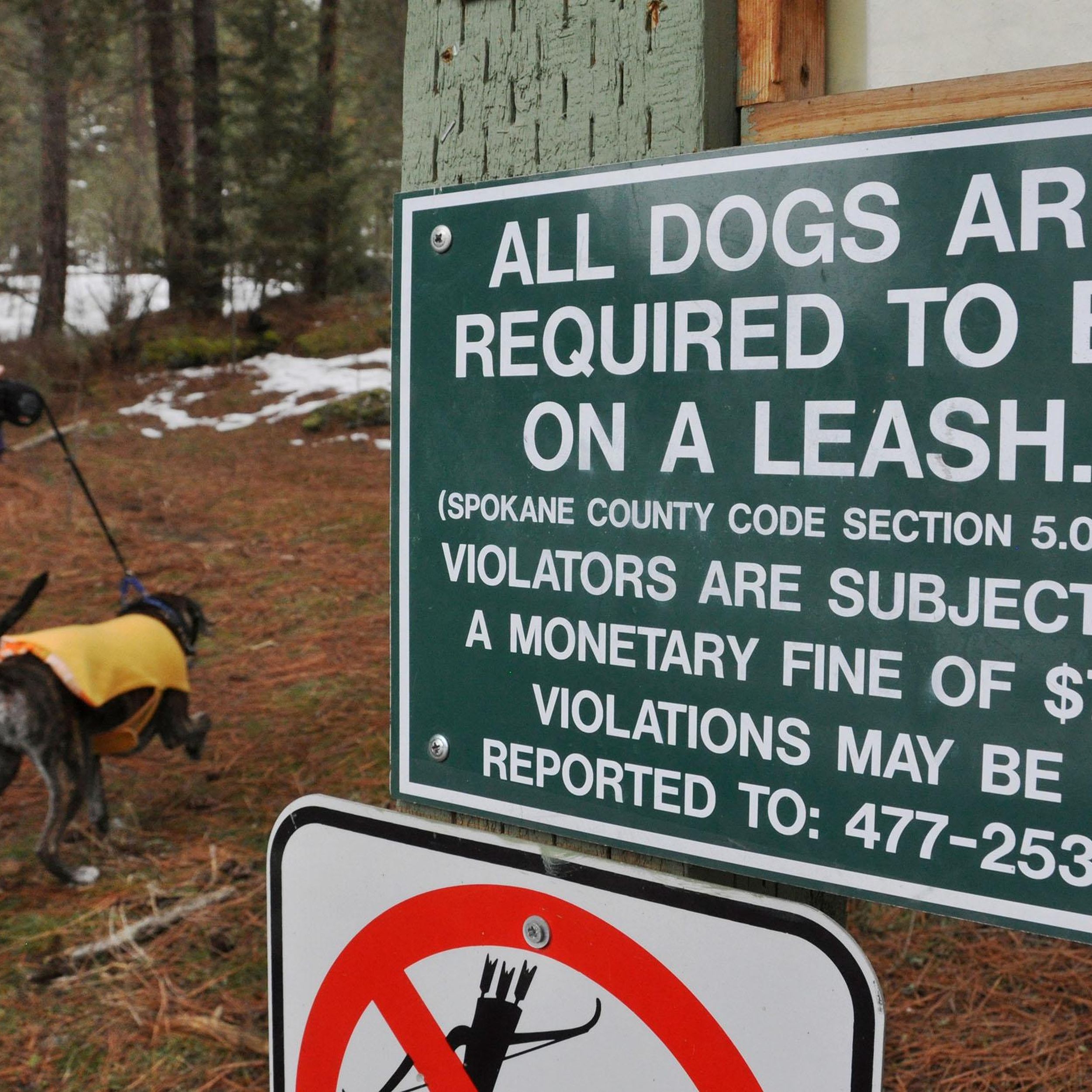 can dachshunds go off leash