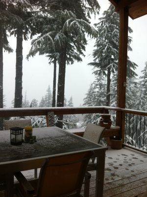 Unseasonably cold spring weather brought snow to this home at Schweitzer Mountain Resort in Sandpoint early Wednesday, June 6, 2012. (Courtesy of Lisa Gerber)