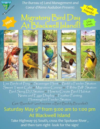 Migratory Bird Day event coordinated by the Coeur d'Alene Audubon Society.