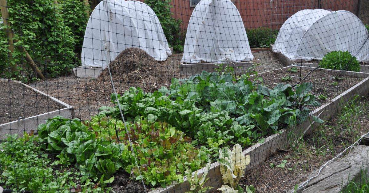 Gardening: Learn to capture heat to get crops off to a good start