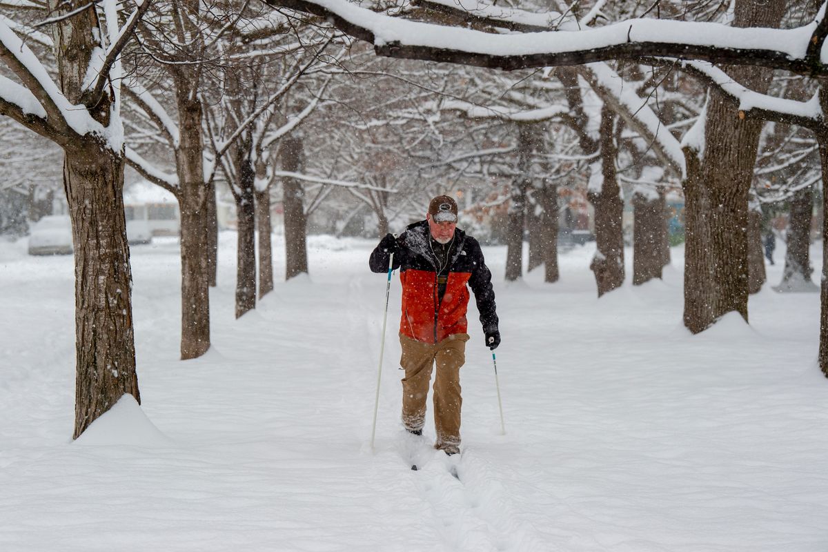 Tye McGee breaks trail through the trees on a loop around Corbin Park in north Spokane Thursday. Several inches of snow fell overnight and McGee said the light snow was easy to glide through, at least until the temperatures warmed up.  (Jesse Tinsley/The Spokesman-Review)