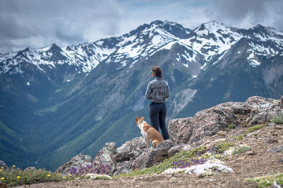Jen Sotolongo with her dog Sitka on Marmot Pass in the Olympics.  (Courtesy of Jen Sotolongo )