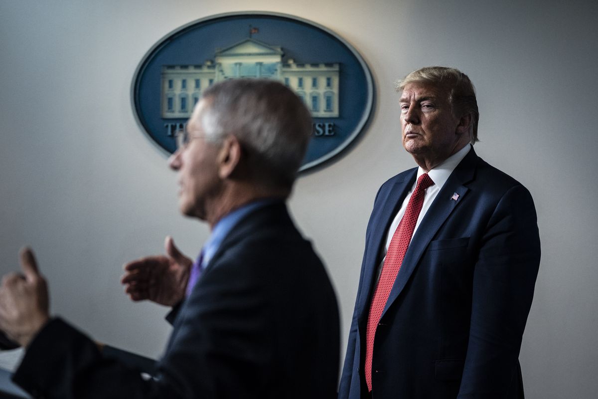 President Donald Trump, right, and Anthony S. Fauci, who was director of the National Institute of Allergy and Infectious Diseases, regularly briefed Americans about the coronavirus response in the early days of the pandemic. (Jabin Botsford/The Washington Post)