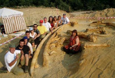
In this image released by the University of Thessaloniki, Evangelia Tsoukala, right, sits with fellow researchers beside two large tusks  at the village of Milia, Greece, on  July 22. Associated Press
 (Associated Press / The Spokesman-Review)