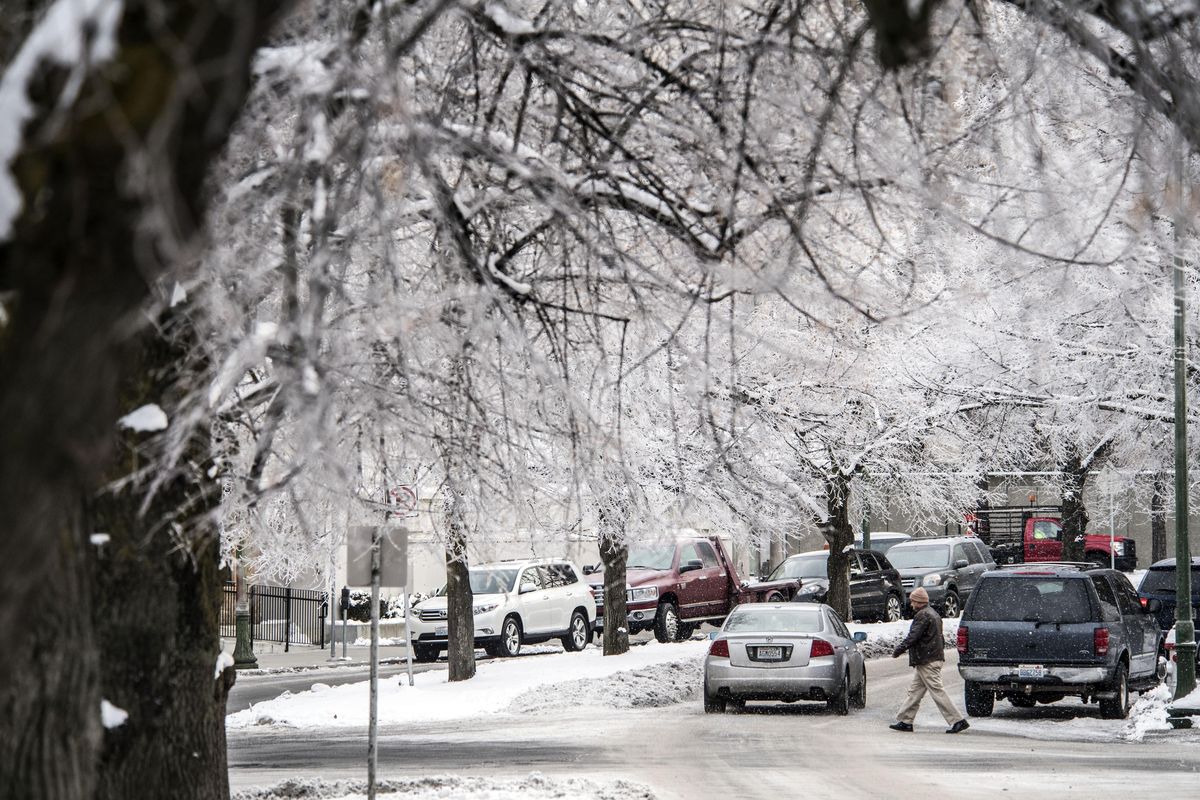 Frost englfs the tree-lined street of west Riverside Avenue, Dec. 14, 2016, in downtown Spokane, Wash. (Dan Pelle / The Spokesman-Review)