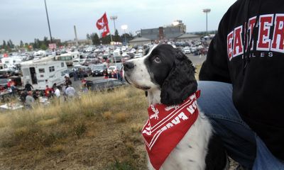 EWU fan John Howerton dresses his Springer Spaniel “Molly” with an Eastern neck scarf. (Christopher Anderson / The Spokesman-Review)