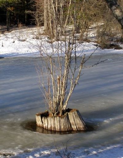  (The Spokesman-Review)