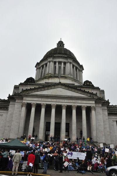 Protesters gather on the north steps of the Capitol on the morning of Nov. 28 before the Legislature starts its special session. (Jim Camden)