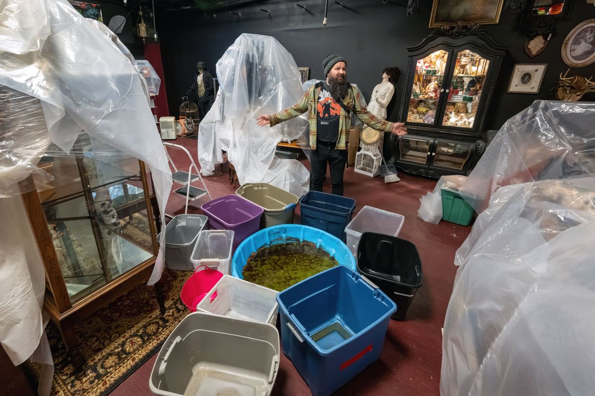 Jesse McCauley, co-owner of Petunia & Loomis, an oddity boutique, stands amongst a collection of buckets used to gather water that flowed from the ceiling after a fire on the sixth floor of the Coeur d’Alene Plaza Apartments on Wednesday. Several other ground- floor businesses also suffered water damage.  (COLIN MULVANY/THE SPOKESMAN-REVIEW)