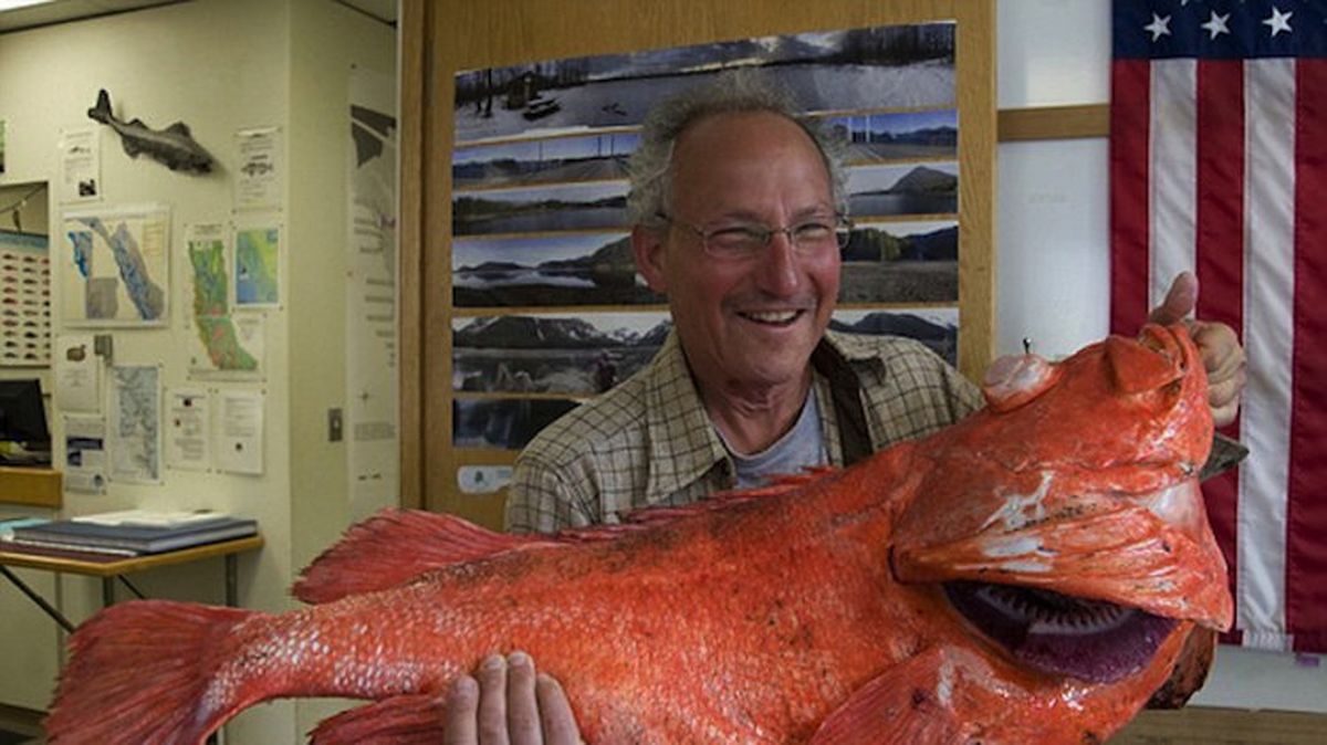 Record rockfish, 200 years old, caught in Alaska The SpokesmanReview