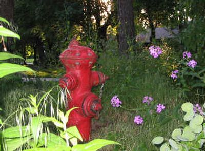 
Once a Playfair Race Course landmark used to gauge the progress of racehorses as they neared the finish line, this fire hydrant now sits in a garden at Jim Price's house.
 (Jim Price / The Spokesman-Review)