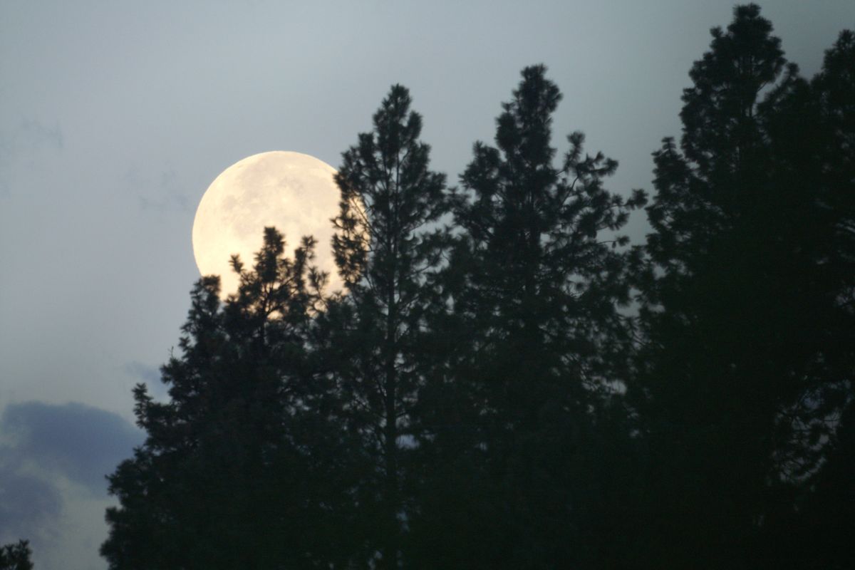 Don Butts took this photo of the super moon in the morning on Tuesday in Spokane Valley (Don Butts)