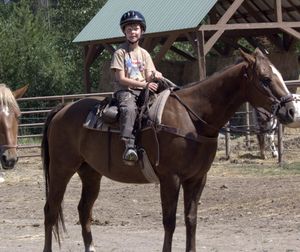 Ian Turner, 8, of northern California is pictured here on a horse named Scout on July 30, 2011, shortly before they were chased by a grizzly bear on a trail ride with Swan Mountain Outfitters near Glacier National Park. Wrangler Erin Bolster and her horse, Tonk, rode to his rescue, challenging the bear until it ran off.  (Courtesy of the Turner family)