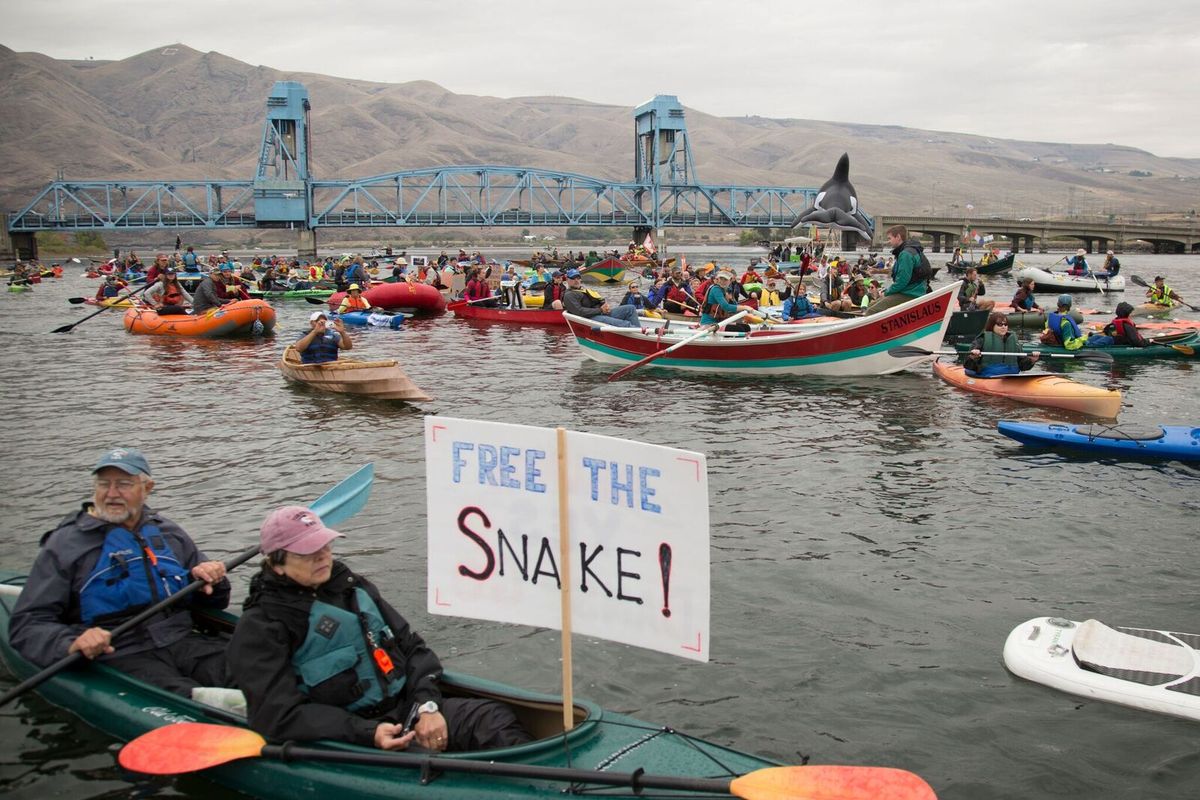 Free the Snake boaters protest Snake River Dams on the river near Clarkston, Washington, on Sept. 17, 2016. (Chris Jordan-Bloch  / Free the Snake Flotilla)