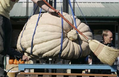 A scale is swept clean for an accurate measurement of this pumpkin from Bonners Ferry, Idaho, which came in at 1,100 pounds and was declared a new Idaho state record by the announcer.  (Associated Press / The Spokesman-Review)