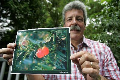 
Bill Wolfson holds a picture he took last year in his backyard at his Columbus, Ohio, home. When he ordered his Christmas cards with the picture at Walgreen's, the store phoned him with the 