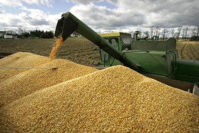 Dale Rossman empties a load of corn into a truck from his combine while harvesting in Spring Mills, Pa.Associated Press file photo (Associated Press file photo / The Spokesman-Review)