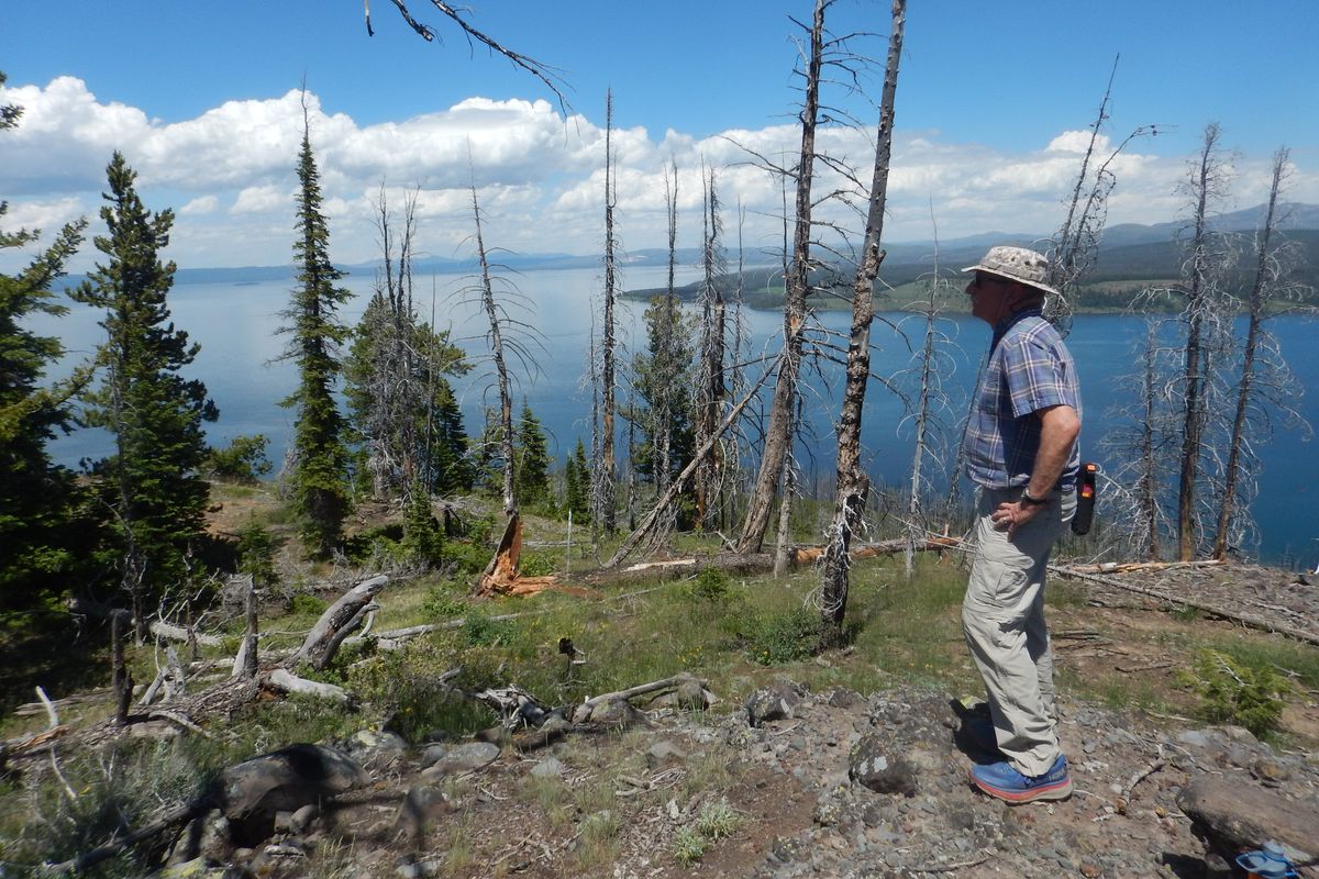 Thirty-four years after his last visit, Scott Close surveys Yellowstone Lake from the highest point on the promontory separating the south arm from the southeast arm.  (Photo courtesy of William Brock)