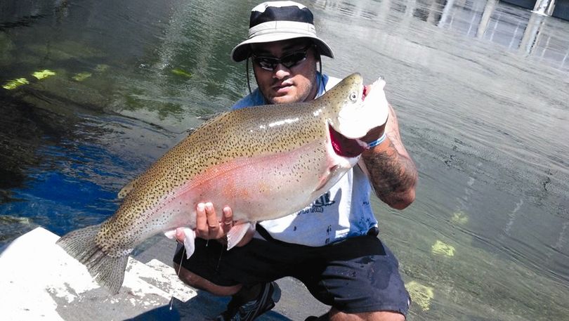 Idaho's largest rainbow won't be official record
