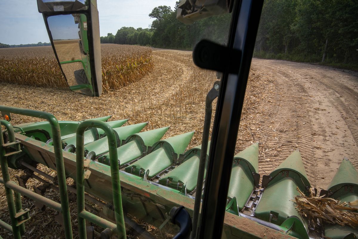 A combine harvester in a field of corn during a harvest in Dockery, Miss. (Alan Chin/Bloomberg)