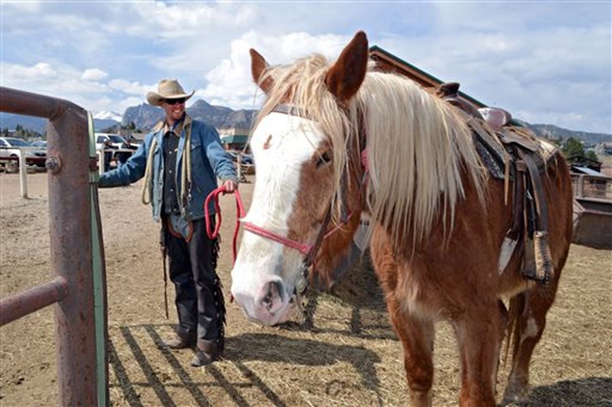 Big riders mean bigger horses - draft horses - on western trails | The  Spokesman-Review