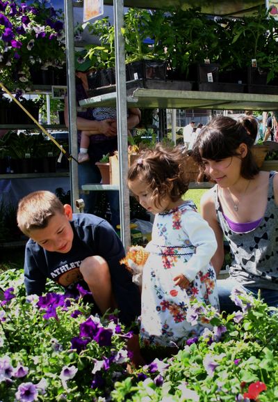 Jack, 8, Amelia, 18 months, and Isabel Brunkan, 11, gather in the grass to admire flowers in baskets at the Spokane Farmers Market on Saturday. The market has moved to a new location in a field on Fifth Avenue between Division and Browne streets. (Lorie Hutson)