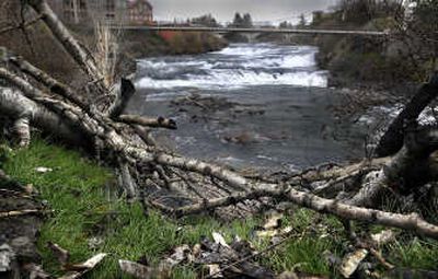 The north channel of the Spokane River wanders through Riverfront Park; about 4,000 cubic feet of water per second flowed through the channel Monday.
(Christopher Anderson / The Spokesman-Review)