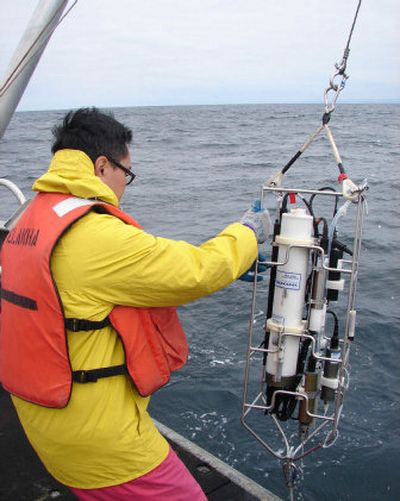 
Francis Chan lowers a device to measure oxygen levels  in the Pacific Ocean off Newport, Ore., last July.
 (File Associated Press / The Spokesman-Review)