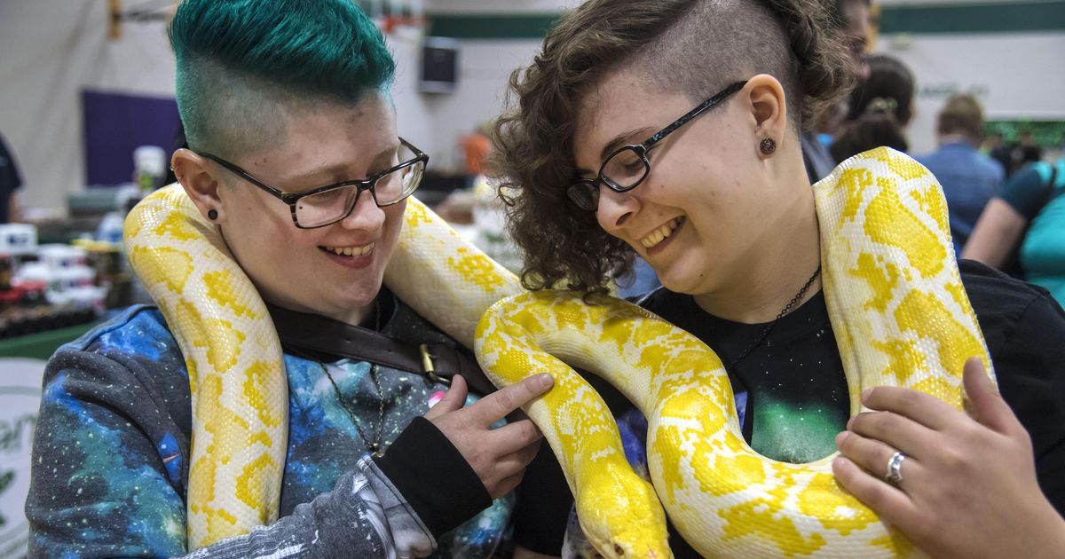 First reptile expo in Spokane draws lizards and people by the hundreds