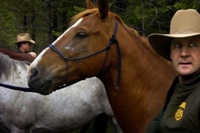 
Roman, right, and Foraker prepare their horses for a backcountry patrol mission. 