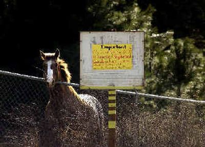 
Walker the Ponderosa neighborhood horse peeks over the fence at the corner of Schafer Road and Cimmaron, next to the Ponderosa Association sign, which has a map of a developer's plan for the neighborhood. Also posted is a North Greenacres Neighbors sign informing the community of a planned presentation during the March 8 Spokane Valley City Council meeting that was taken off the agenda by the mayor. 
 (Liz Kishimoto / The Spokesman-Review)