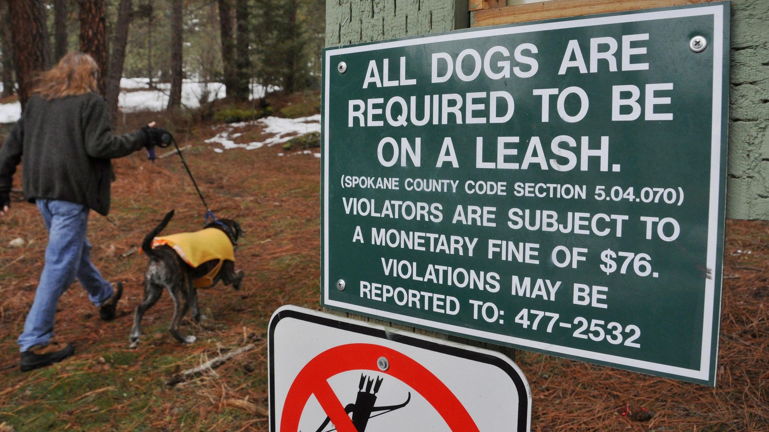 can dogs be off leash in public