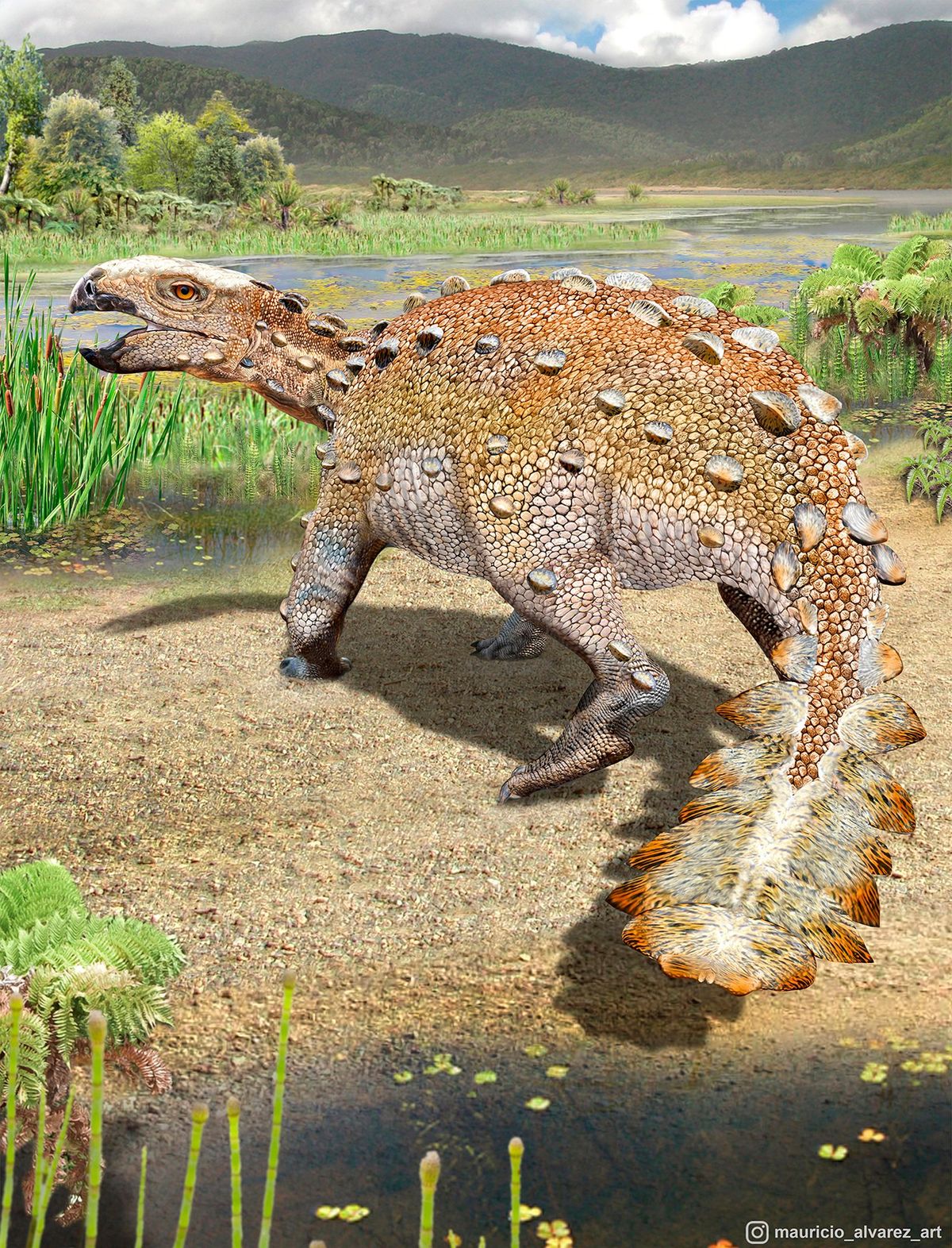 This illustration provided by Mauricio Alvarez shows a Stegouros. Fossils found in Chile are from the bizarre dog-sized dinosaur species that had a unique slashing tail weapon, scientists reported Wednesday, Dec. 1, 2021.  (Mauricio Alvarez)