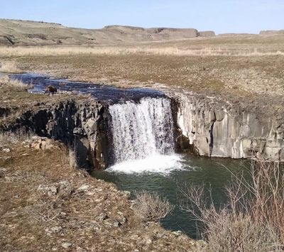 Towell Falls is a popular spring hiking destination along Rock Creek in BLM’s Escure Ranch Recreation Area south of Sprague.  (Rich Landers/For The Spokesman-Review)