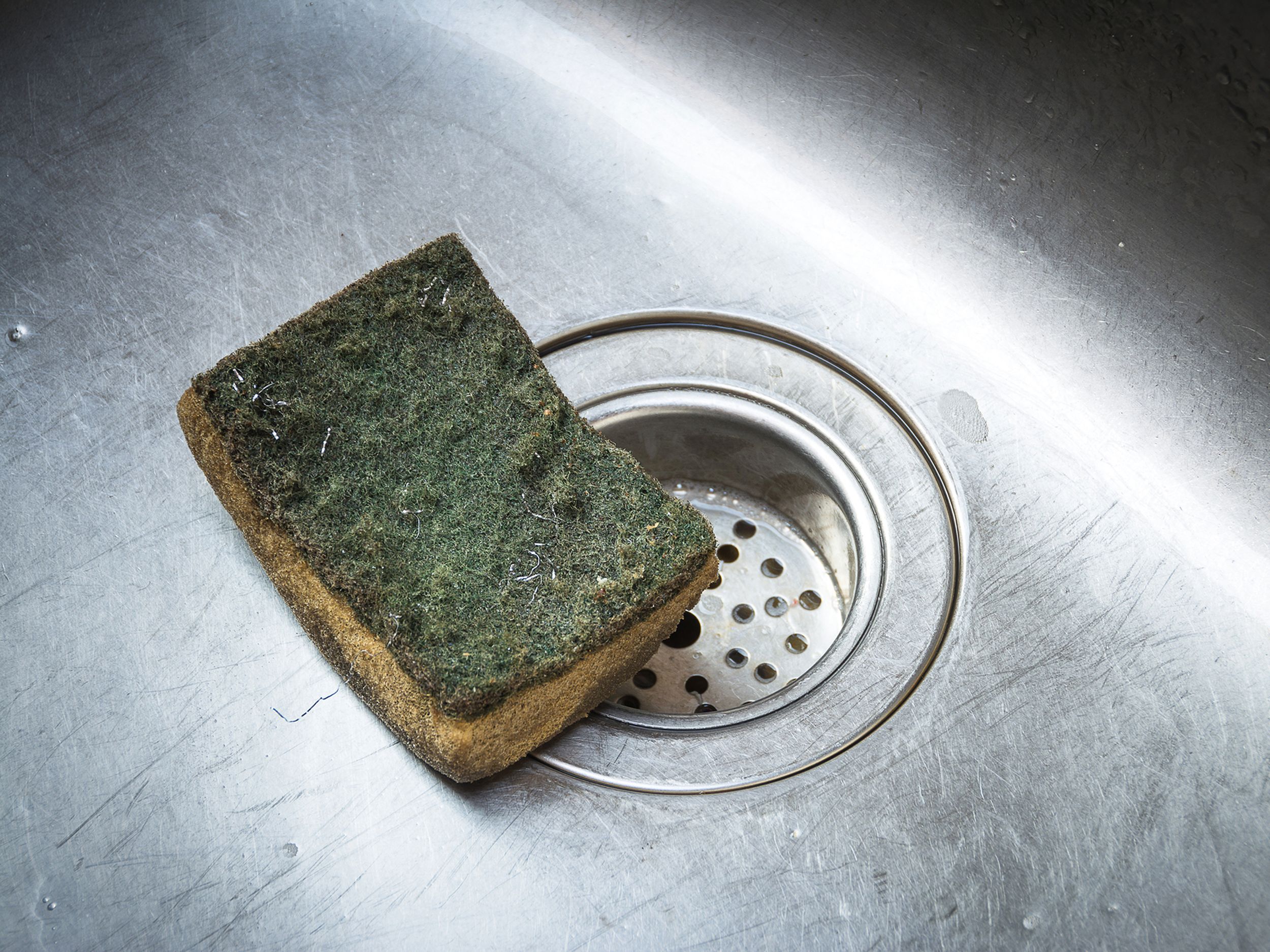 Your Kitchen Sponge Is Filthy — And Microwaving It Won't Help