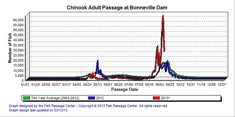 Graph shows fall chinook salmon returns at Bonneville Dam through Sept. 12, 2013.  By 1 p.m. on Sept. 13, the salmon run had eclipsed the record of 610,700 fish counted in 2003.  (Fish Passage Center)