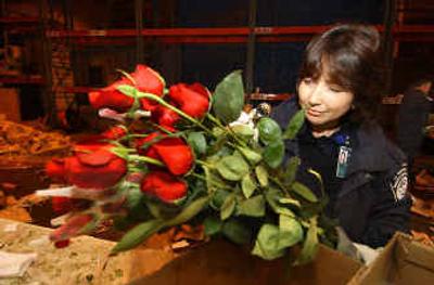 
A U.S. Customs agent inspects roses from Colombia with a magnifying glass for insects, diseases and drug residue, at Miami International Airport. 
 (Associated Press / The Spokesman-Review)