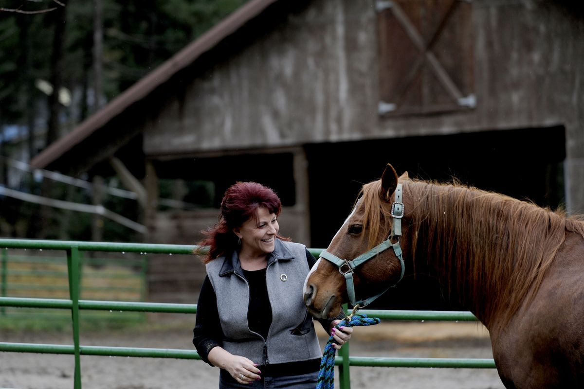 “It just breaks my heart to think that anybody could ever lay a hand on him,” says Coeur d’Alene’s Debbie Mott about Buddy, her adopted horse from SCRAPS. Mott and her husband, Dick, adopted the 10-year old sorrel gelding, who was found during a raid in July sharing a pen with a dead horse. (Kathy Plonka)