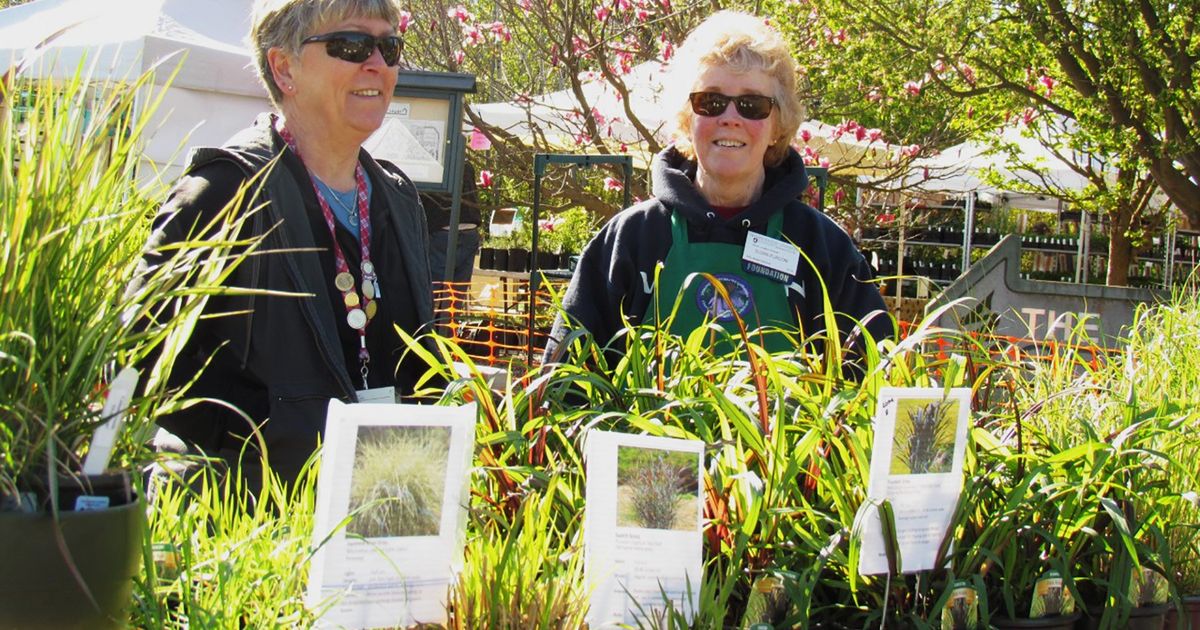 In the Garden Local plant sales raise money for education programs