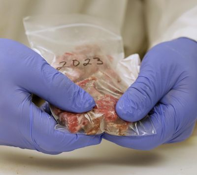Meat scientist Bob Danler prepares a sample of ground beef for testing Oct. 1 at GreatO Premium Foods in Manhattan, Kan. The company is marketing beef with omega-3 fatty acids from cattle fed flaxseed. (Charlie Riedel / Associated Press)