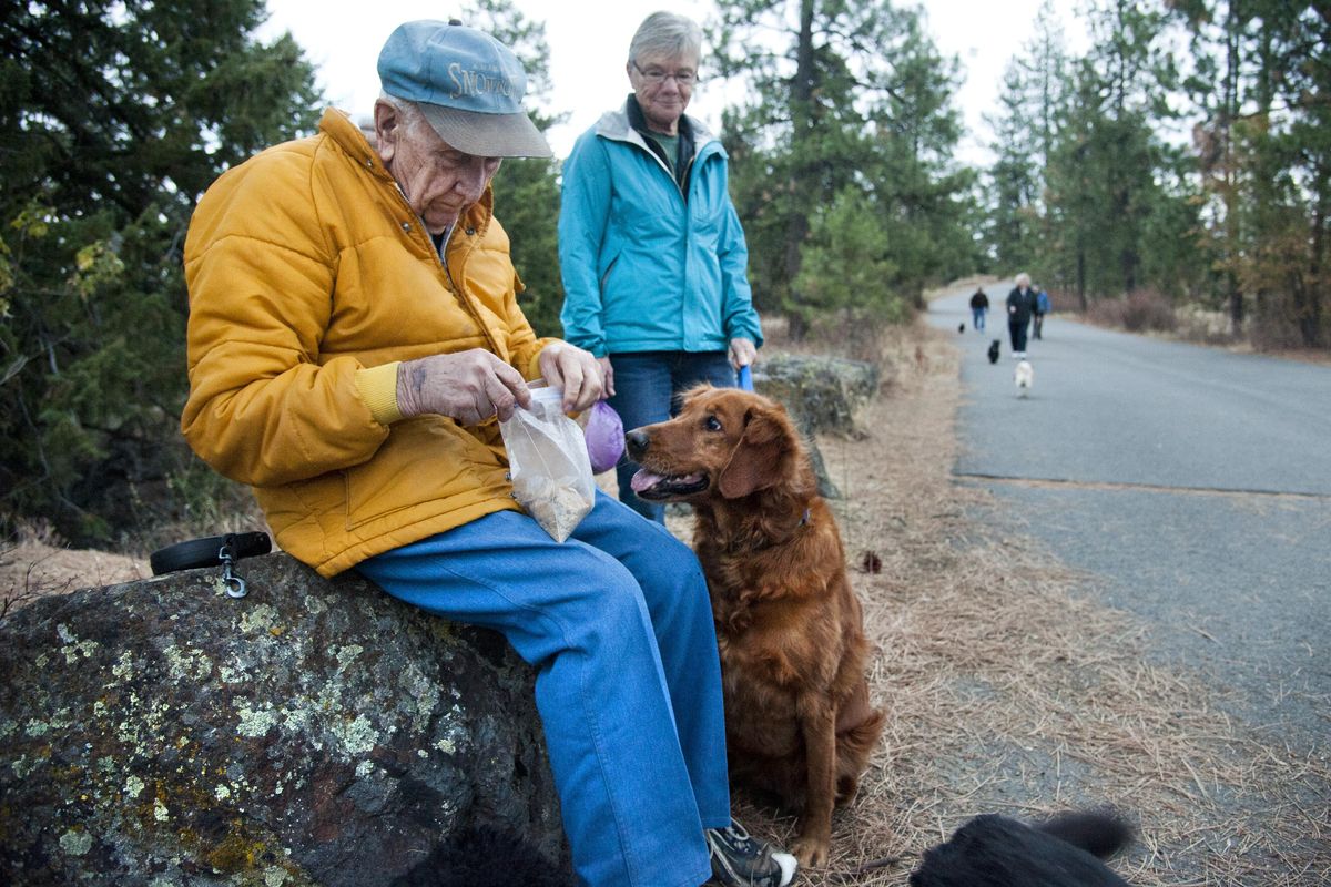 Dave Olson, left, opens a bag of dog treats for Sparky, a golden retriever owned by Sue Eugster, center, as they are joined by other members of their dog-walking group early Oct. 7 in Spokane