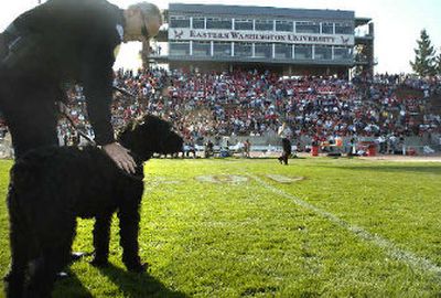 
Cheney Police Chief Jeff Sale stands with Duncan the dog in the middle of Woodward Field during halftime of the Eastern Washington-Sacramento State football game on Saturday. Chief Sale was promoting the first Cheneyfest, Friday and Saturday,  which will benefit the Duncan Relocation Fund and Spokane County Regional Animal Protection Service. 
 (Holly Pickett / The Spokesman-Review)