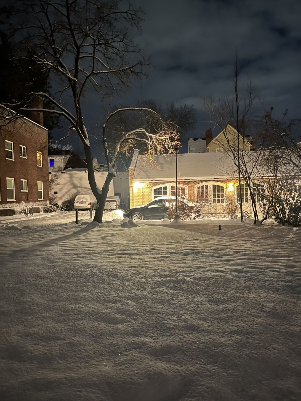 A fresh dump of snow makes varied textures in a lawn outside a building in Browne's Addition Thursday, Feb. 6, 2025.   (Elena Perry)