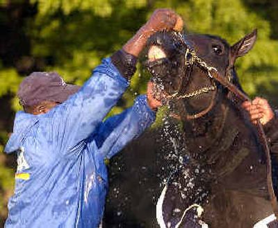 
Kentucky Derby hopeful Bandini, washed by groom Paul Perry after a morning workout Wednesday, scared off exercise riders in the past. 
 (Associated Press / The Spokesman-Review)