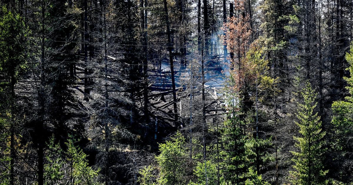 Gold Run fire in North Idaho is 75% contained