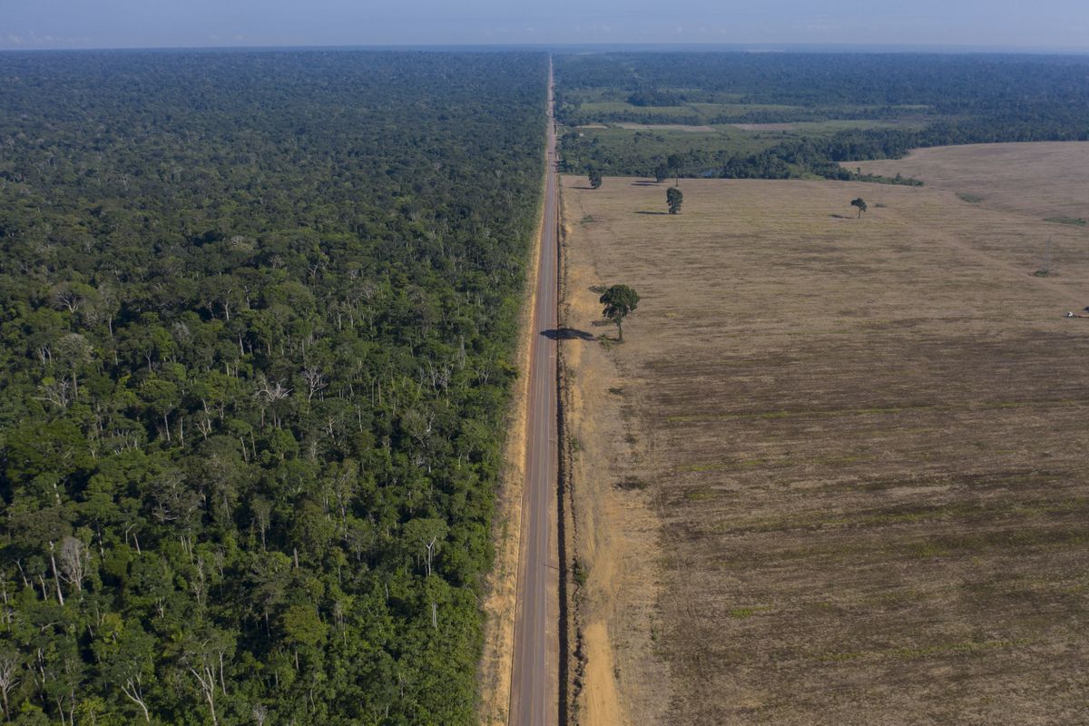 Brazil Redeploying Troops To Amazon Rainforest Bans Fires The Spokesman Review