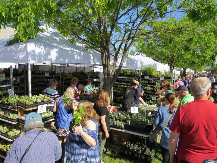 In the Garden Expo chock full of plants and experts back after
