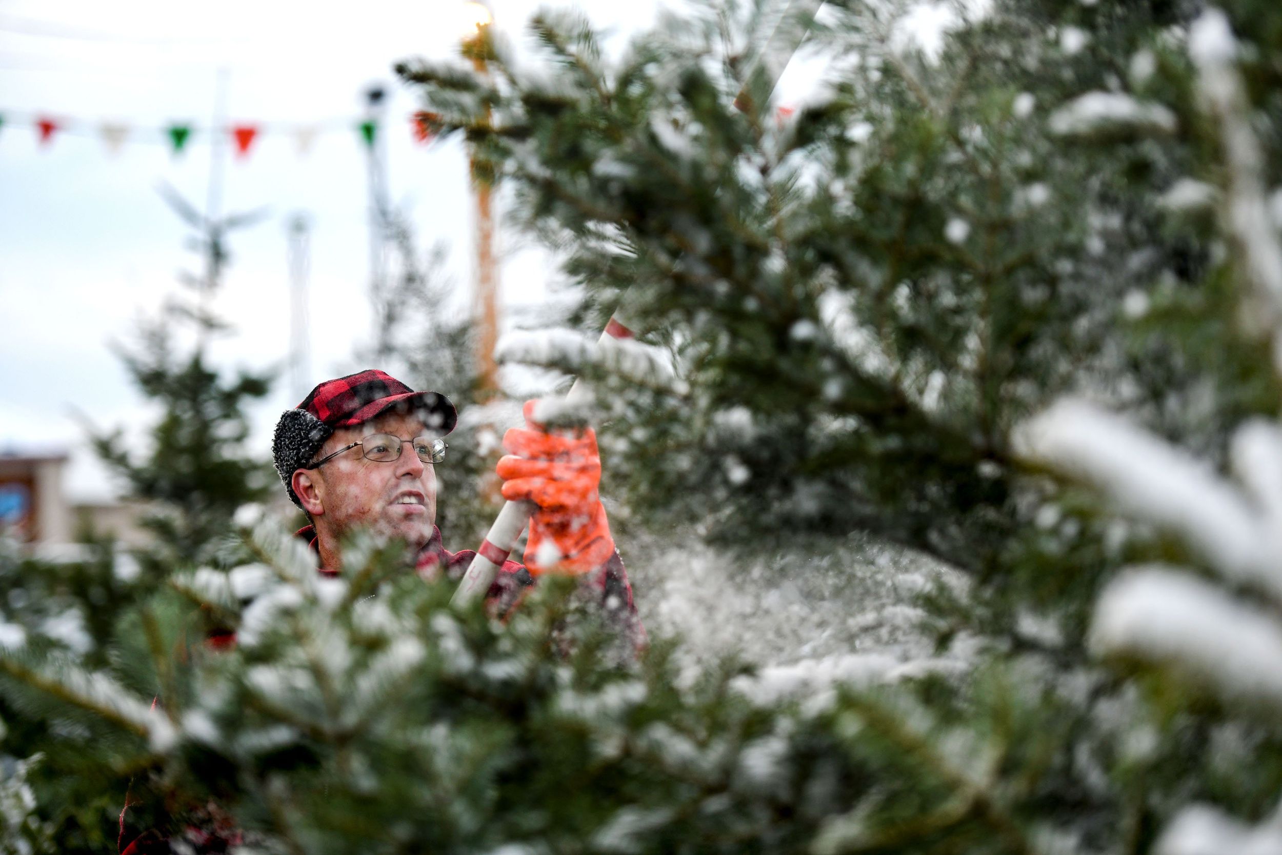 City of Spokane will pick up your Christmas tree for free on your