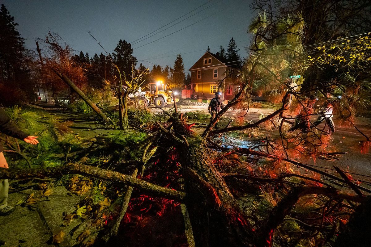 Strong winds toppled a pine tree at Bernard and 22nd taking down utility lines and just missing a car during Monday