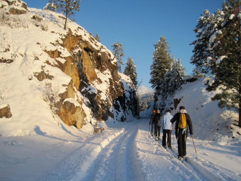 Cross-country skiers make nordic tracks on the Golden Tiger section of the Ferry Count Rail Trail. (Ferry County Rail Trails)